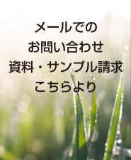 メールでのお問い合わせ