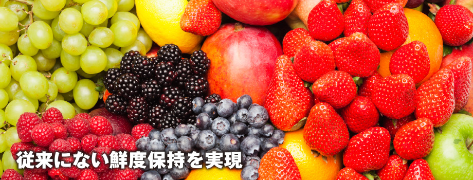 従来にない鮮度保持を実現