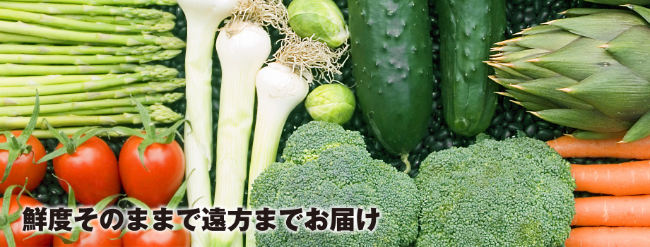 鮮度そのままで遠方までお届け